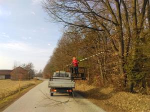 2019 februar 084